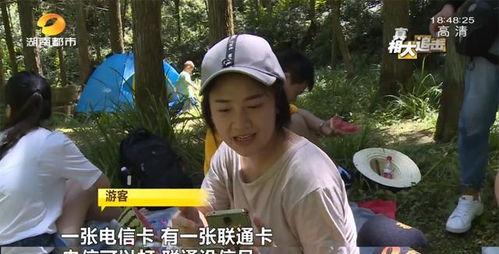 长沙黑哥爆料太阳哥视频,太阳哥视频背后的惊人真相  第3张